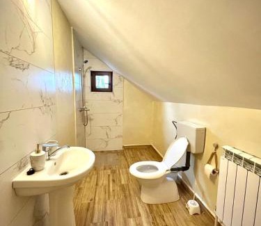 Salciua House | Cabana Ilinca