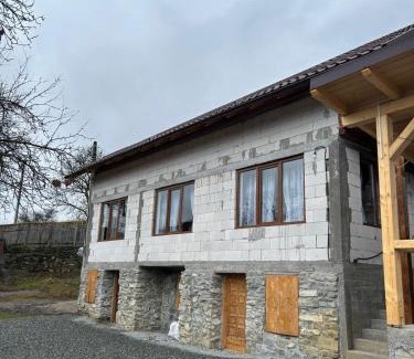 Salciua House | Cabana Ilinca