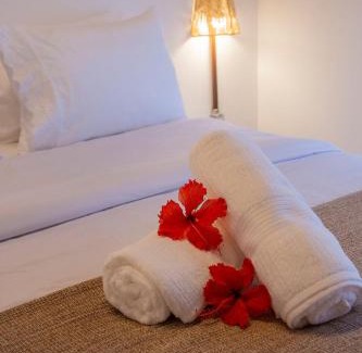 Boldro House | Cabana Mulungu - Viagem Inspirada