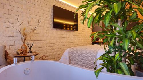 Universitario House | Cabana Pinot Noir - cabanaurbana