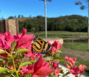 Lauro Muller Ski Chalet | Cabana Rota da Serra 01 Hidro e Rio próximo