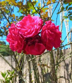 Meia Praia House | Cabanas LA CASITA HOSPEDAGEM FAMILIAR