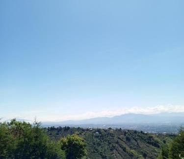 Cirri Sur Apartment | Cabanas Zamoray