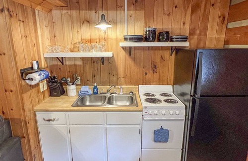 Cherokee Cabin | Cabin #1 - Riverfront w/Gas Fireplace and more!