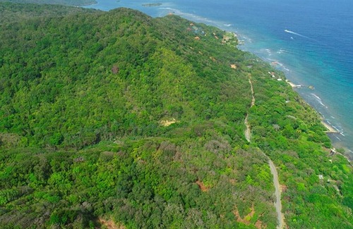 Calabash Bight Cabin | Cabin 3 - Calabash Bight Cabins with Breakfast, Beach & Kayaks