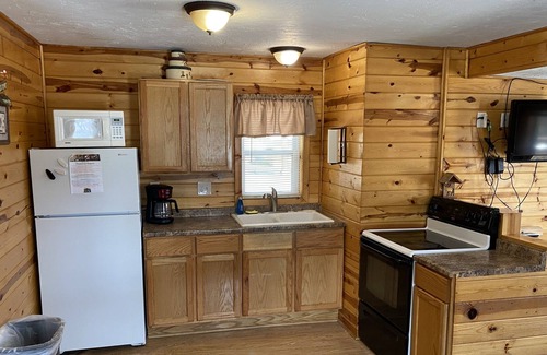 Hines Resort | Cabin 4 Lakeview Family/Pet Friendly Resort Amenities Beach, Dock, Fishing Boats