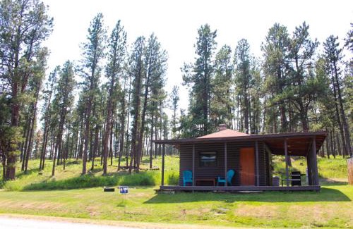 Rapid City House | Cabin 5 at Horse Creek Resort