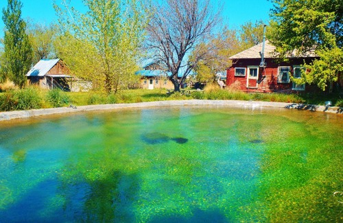 Cedarville Cabin | Cabin at Artist's Remote Nevada Ranch Oasis With Pool