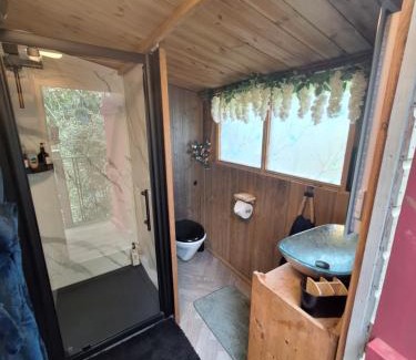 Charing House | CABIN in hosts huge garden CHILD FRIENDLY with Hens Kittens firepit Marshmallows