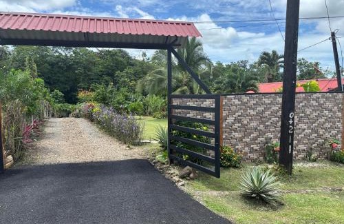 Penas Blancas House | Cabin in the wood