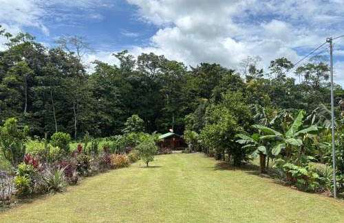 Penas Blancas House | Cabin in the wood
