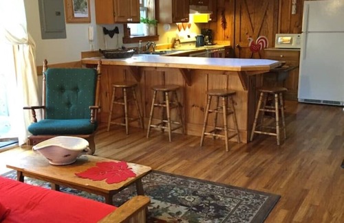 Brevard Cabin | Cabin in Willoughby Wood near Brevard NC