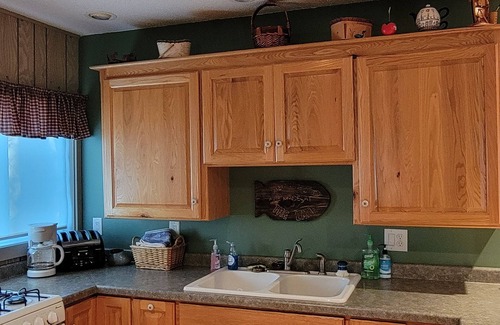 Pine River Cabin | Cabin on Norway Lake, 2 bedroom/sleeps 6