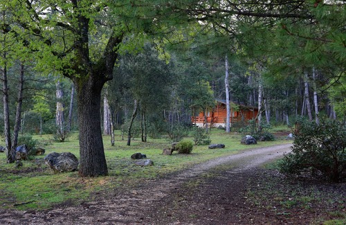 Canamares Cabin | Cabins El Llano de los Conejos - Cabin 4