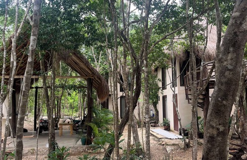 Tulum Cabin | Cabins in the middle of the Mayan jungle in Tulum with cenote type pool