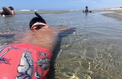 Los Organos Hotel | Cabo del Mar