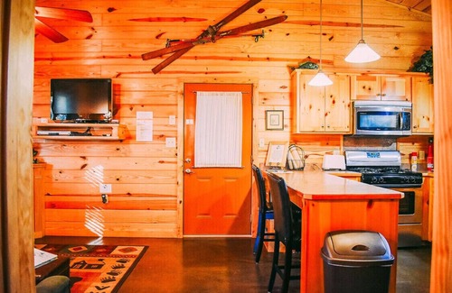 Bismarck Cabin | Caddo Ridge Cabin with Hot Tub