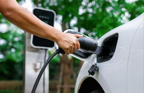 Jabaquara Apartment | Calamar Flats Paraty