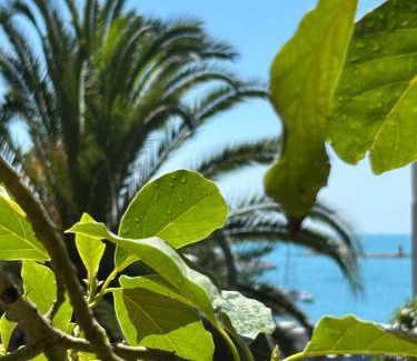 La Spezia Bed & Breakfast | Caligo B&B stanza privata in villa d'epoca con giardino e vista mare