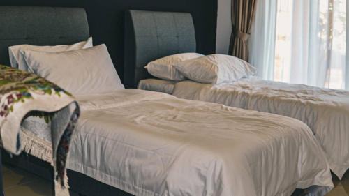 Pendang District Villa | Calma Villa @ Pendang