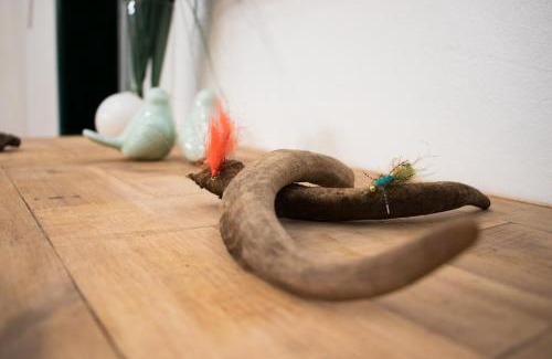 Malargue Department Hotel | Calmuco Shelter