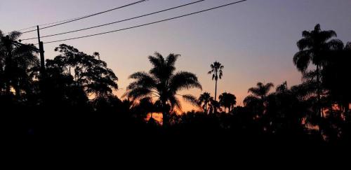 Pacho Hotel | Camellón de la Ferrería