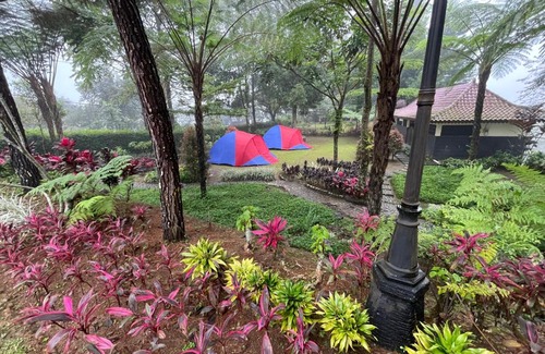 Megamendung Other | Camp de Katarina