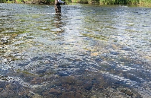 Ravalli County RV Rental | CAMP SULA - RV SPOT 4 pull through