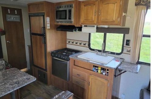 Cody House | Camper at Mountain Haven-WiFi/AC/outdoor fire pit/grill/hammocks/picnic table