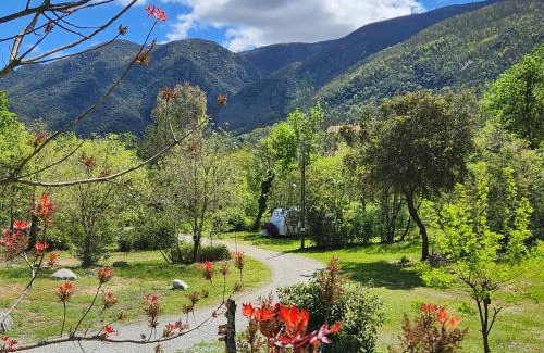 Arles-sur-Tech Other | Camping du Riuferrer