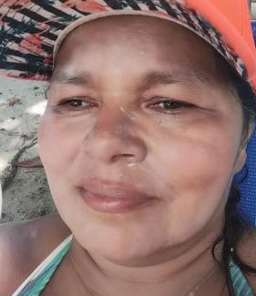 Carvalhos Other | Camping e pousada dos sonhos