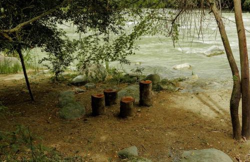 Londres Other | Camping Finca Planeta Sano