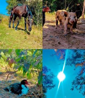 Sao Thome das Letras Other | Camping Nhá Chica