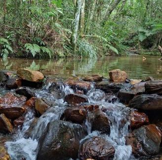 Sao Thome das Letras Other | Camping Nhá Chica