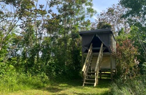 Neuf-Brisach Other | Camping Onlycamp Vauban