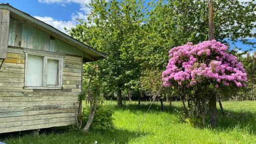Puyehue House | Campo, tranquilidad, relax y buenos paisajes