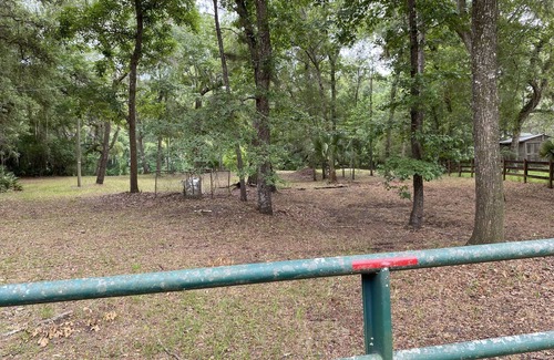 Dowling Park RV Rental | Campsite is locate on the suwannee river. Has power, water and RV hook up!