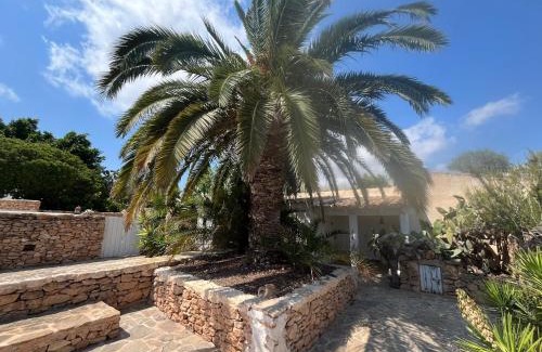 Es Cap de Barbaria House | Can Joseph I