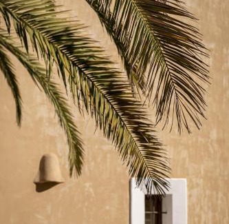 Sant Francesc Xavier Villa | CAN NOVES - Villa de 5 suites 15-58