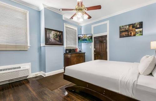 Mid-City Hotel | Canal Studio | Cozy Mid-City Vibes