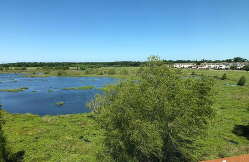 Bayou Cane Hotel | Candlewood Suites Houma by IHG