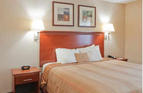 Lafayette Hotel | Candlewood Suites Lafayette - River Ranch by IHG