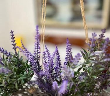 Marechal Floriano House | Cantinho Ítalo-Germânico Hospedagem - Suíte Lavanda - Centro, Marechal Floriano-ES