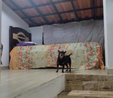 Boca do Rio House | Cantinho da Dete KIT NET