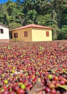 Caparao National Park House | Cantinho da Mata