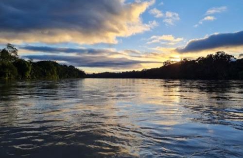 Marques de Comillas Hotel | Canto de la selva