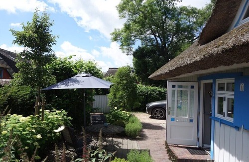 Wieck auf dem Darss Apartment | Captain House South Cats 8