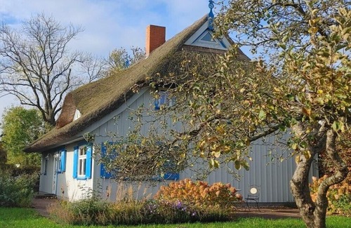 Wieck auf dem Darss Apartment | Captain House South Cats 8