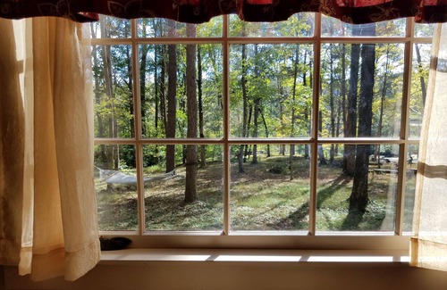 Buechel House | Captain's Annex; close to Bourbon Trail and Churchill Downs, far from ordinary!