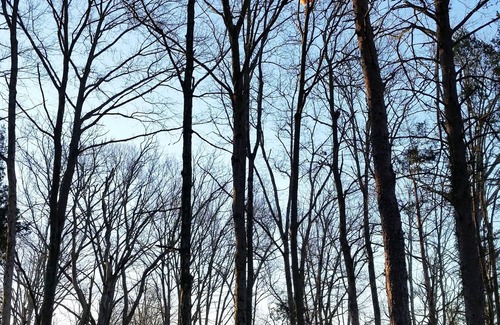 Buechel House | Captain's Annex; close to Bourbon Trail and Churchill Downs, far from ordinary!